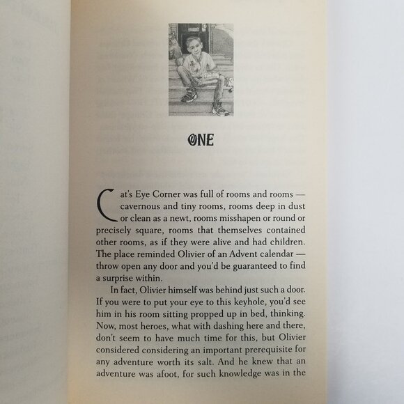 Cat's Eye Corner by Terry Griggs (2000 Trade Paperback) Cat's Eye Corner book 1 - Picture 4 of 13